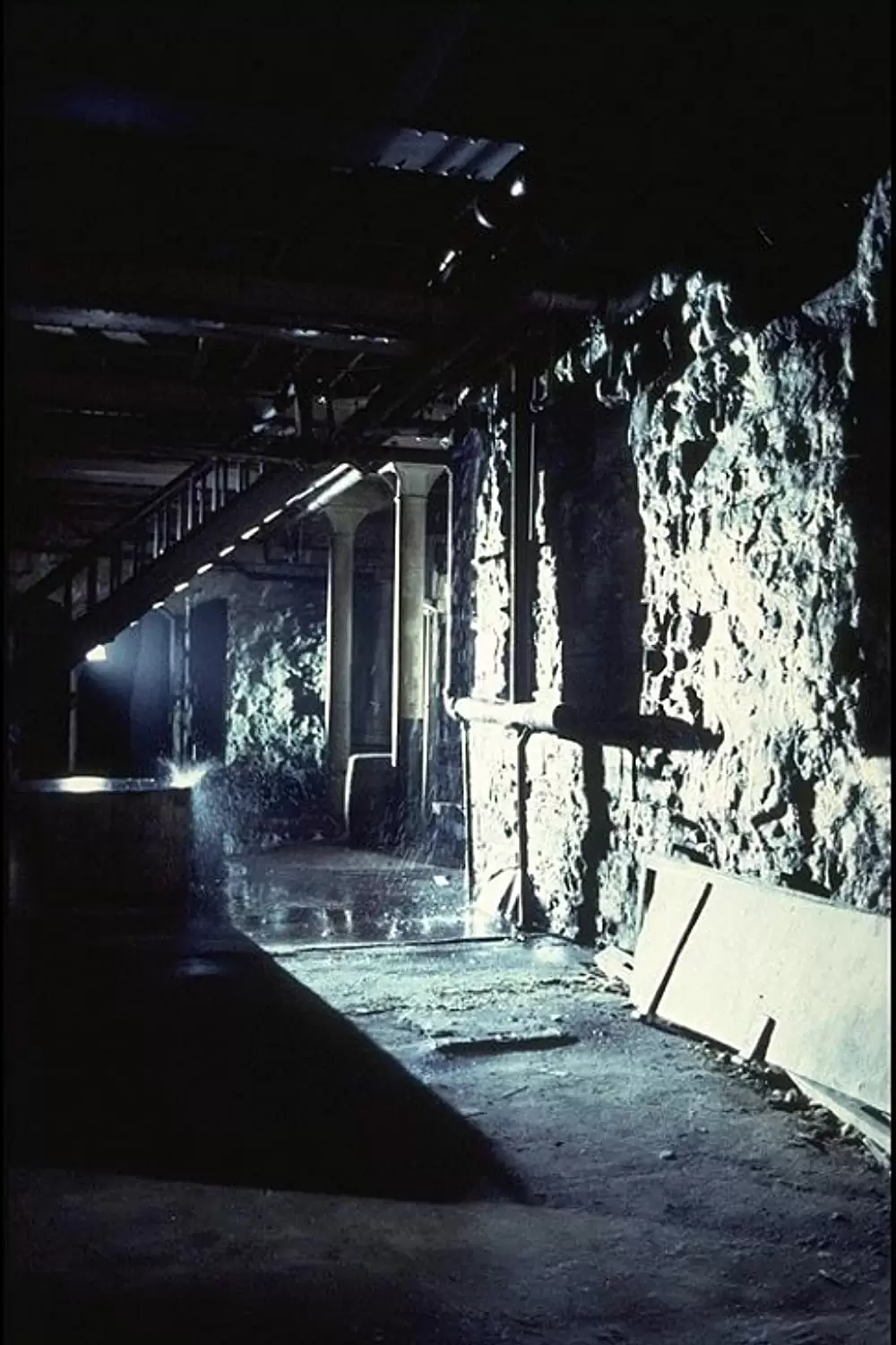 サウンド・オブ・サイレンスの画像