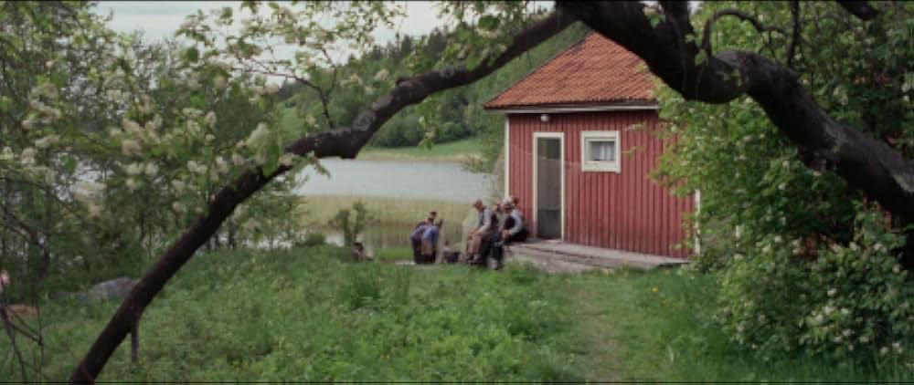 Ådalen 31（原題）の画像