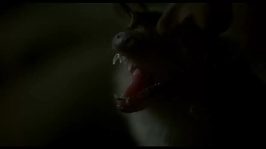 クジョーの画像