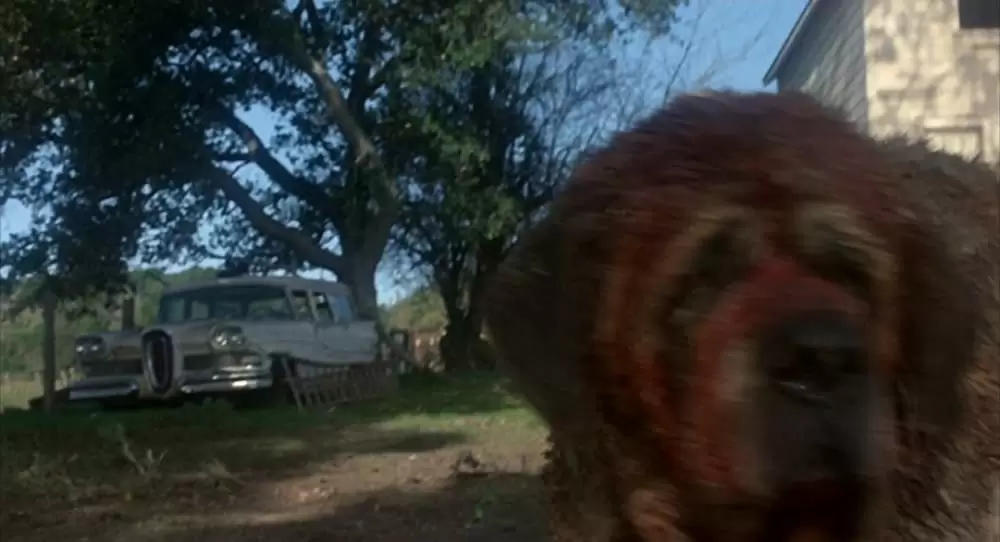 クジョーの画像