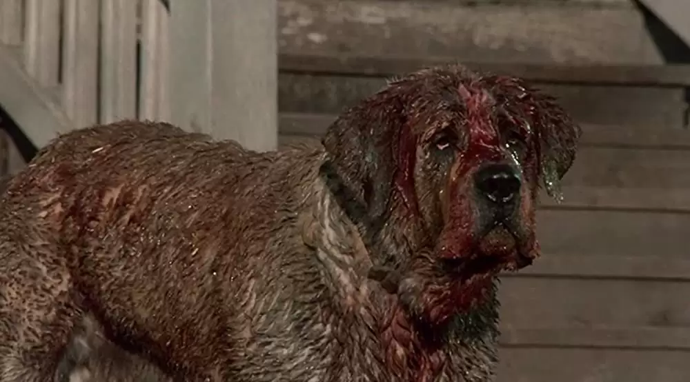 クジョーの画像