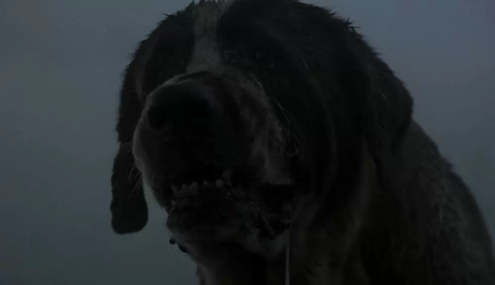 クジョーの画像