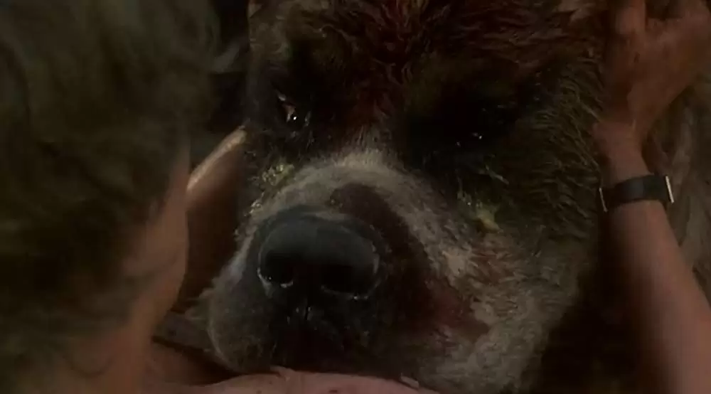 クジョーの画像