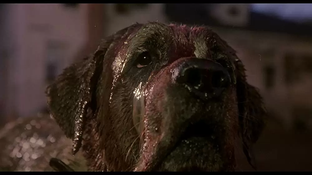 クジョーの画像