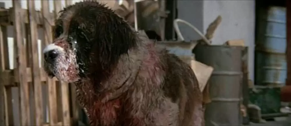 クジョーの画像