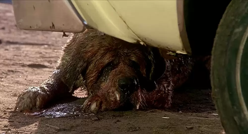 クジョーの画像