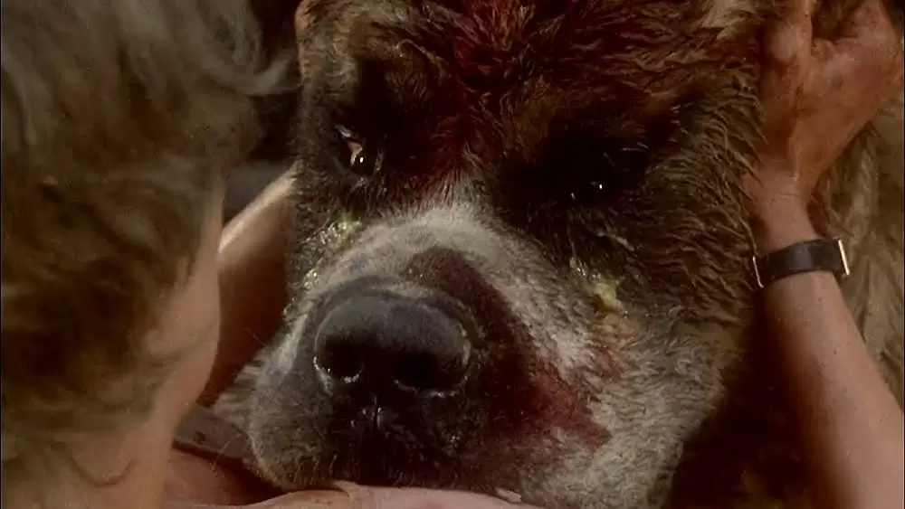 クジョーの画像