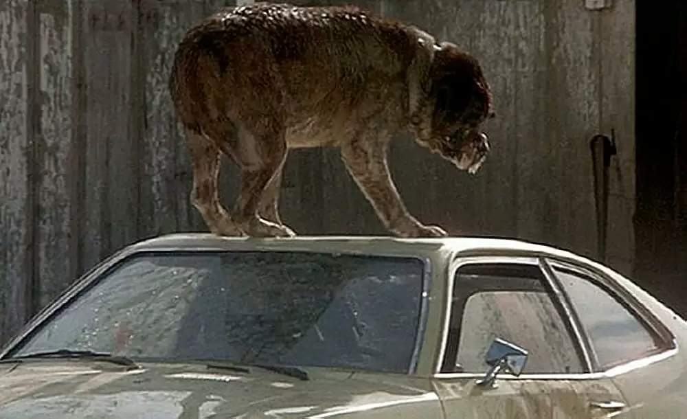 クジョーの画像