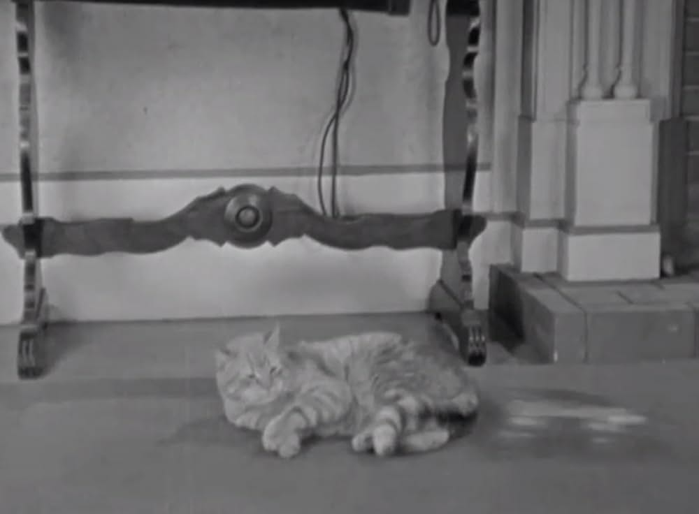 極楽ちびっ子騒動の画像