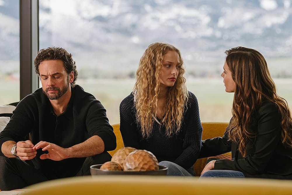 The Stranger in My Home（原題）の画像