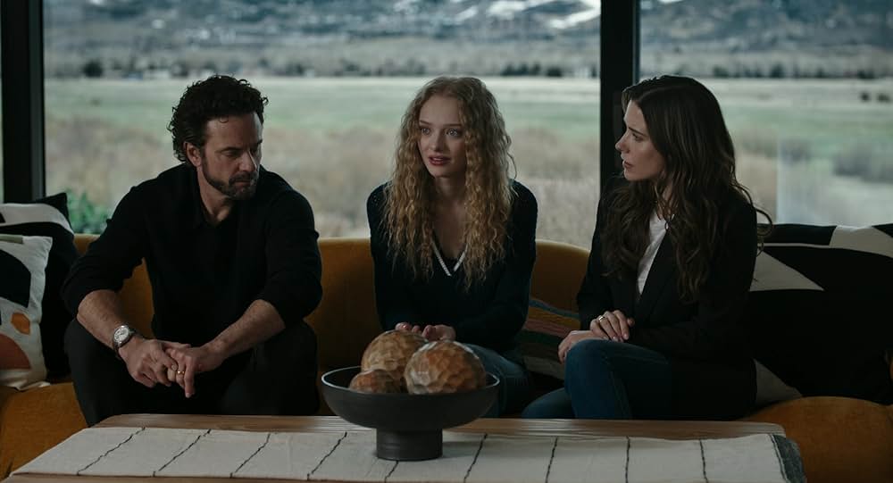 The Stranger in My Home（原題）の画像