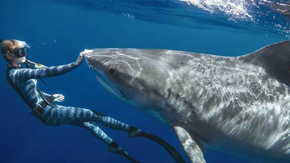 シャーク・ウィスパラー: サメと共存するためにの画像