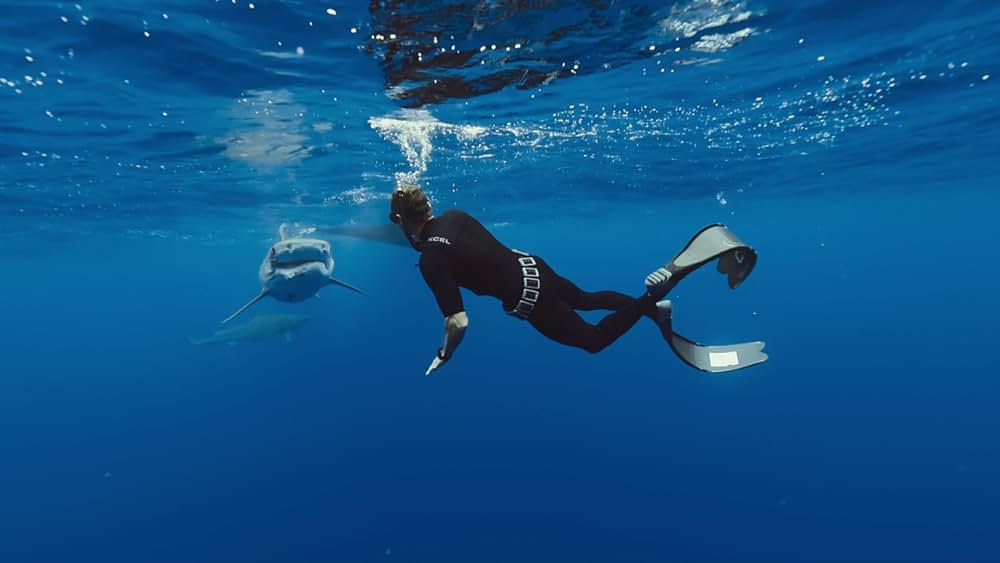 シャーク・ウィスパラー: サメと共存するためにの画像