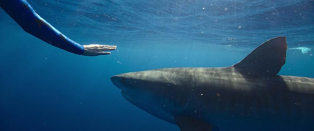 シャーク・ウィスパラー: サメと共存するためにの画像