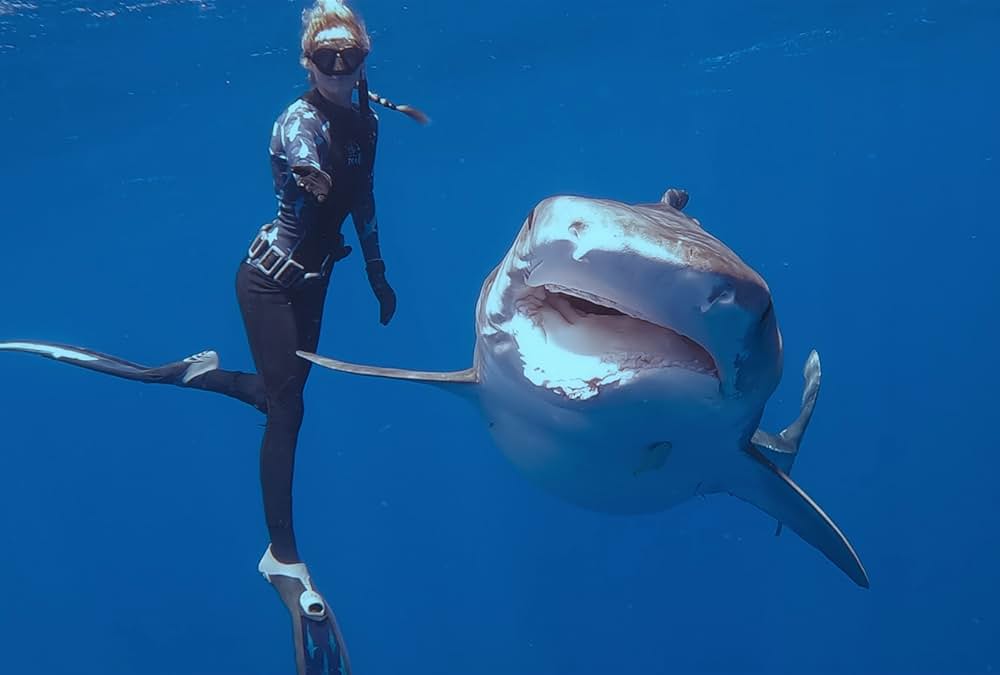 シャーク・ウィスパラー: サメと共存するためにの画像