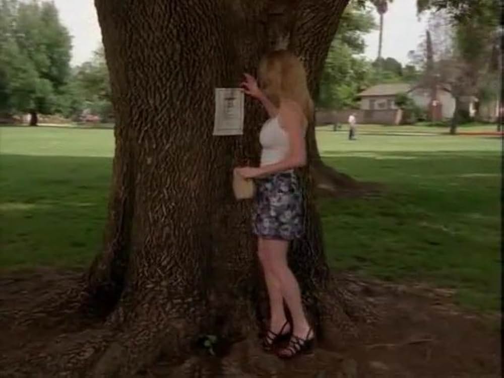 背徳婦人の画像