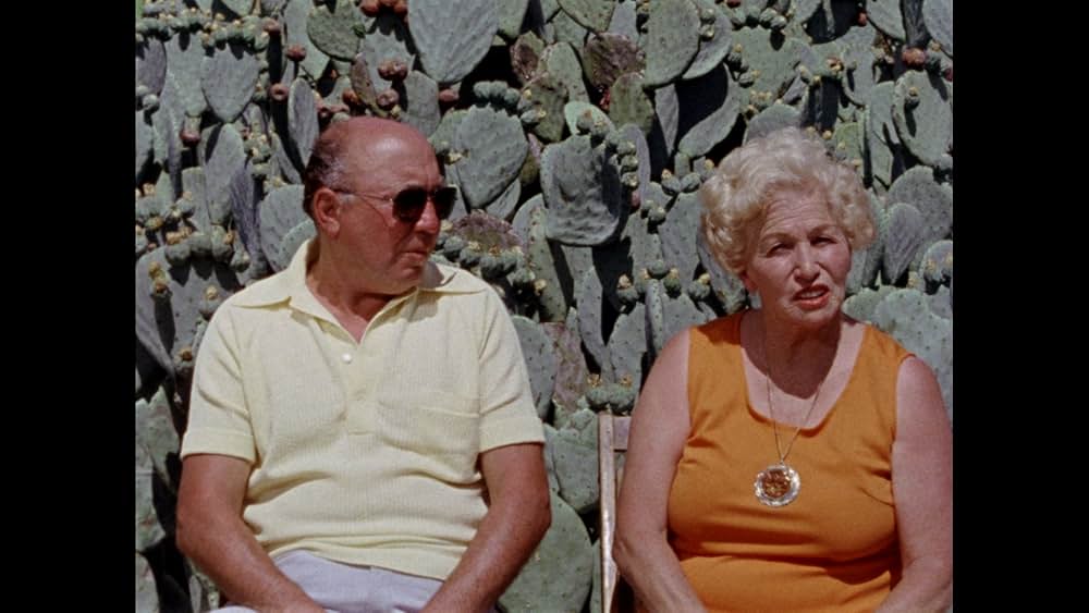 Gates of Heaven（原題）の画像