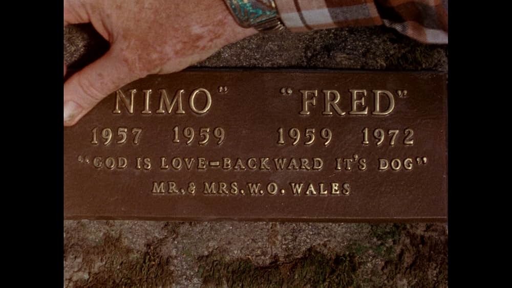 Gates of Heaven（原題）の画像