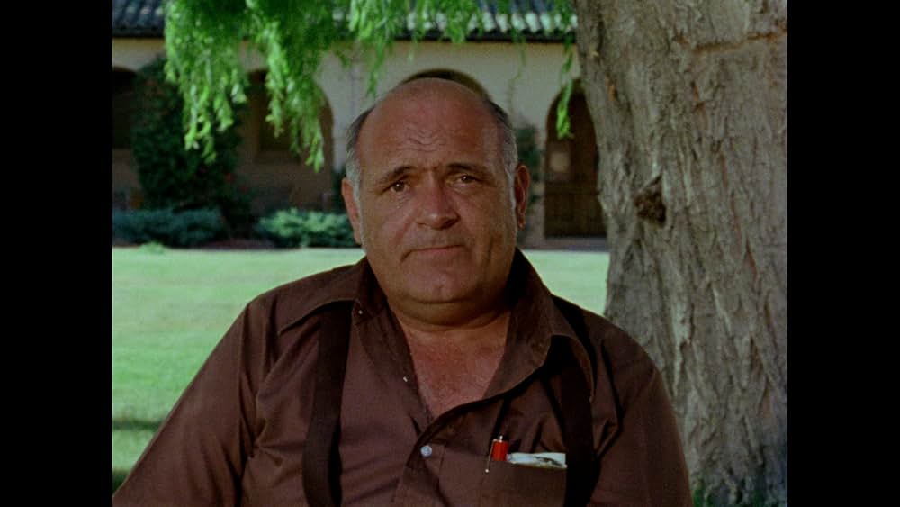 Gates of Heaven（原題）の写真