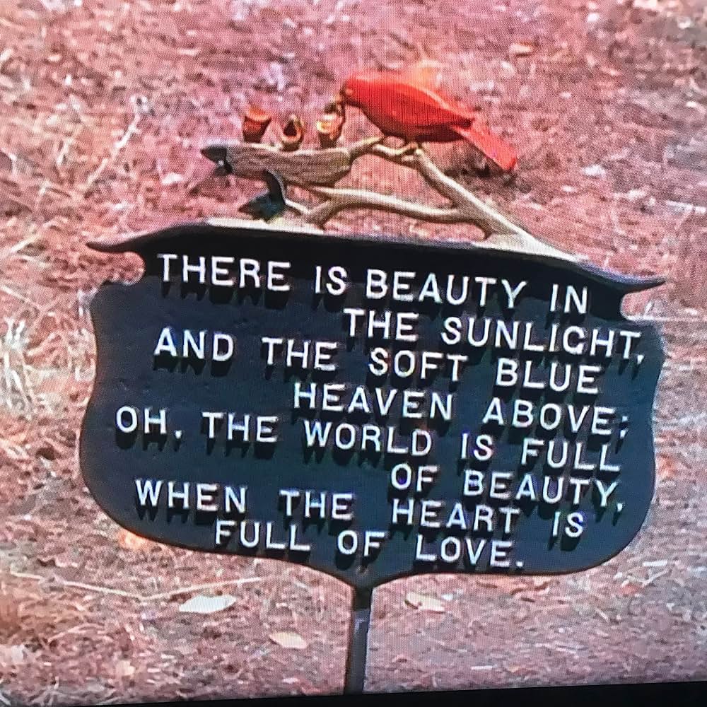 Gates of Heaven（原題）の画像