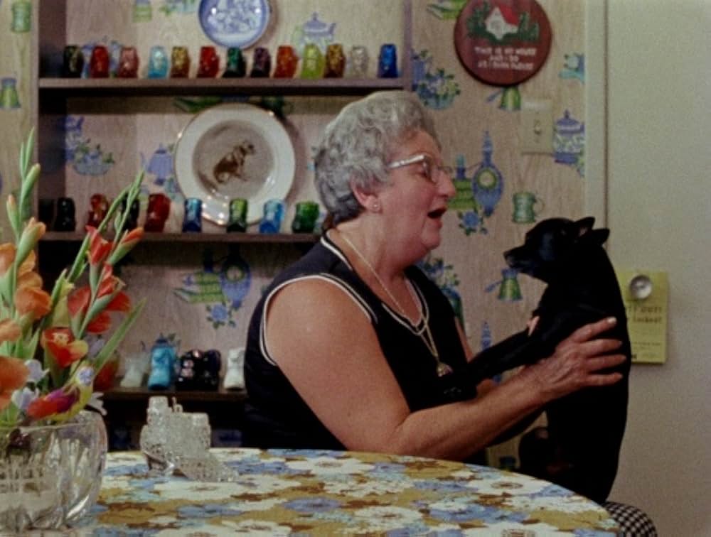 Gates of Heaven（原題）の画像