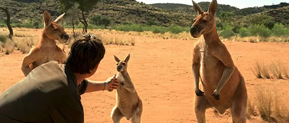 「カンガルー・ジャック」ジェリー・オコンネルの画像