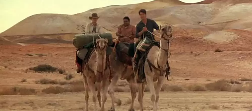 カンガルー・ジャックの画像