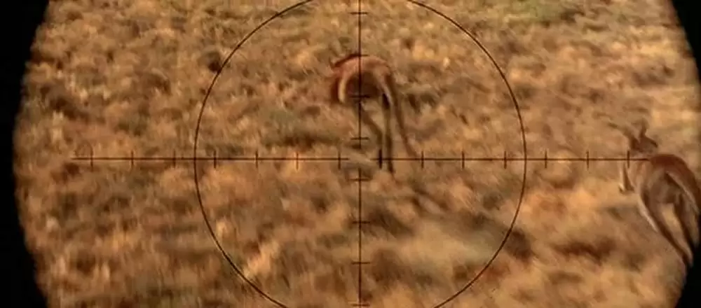 カンガルー・ジャックの画像