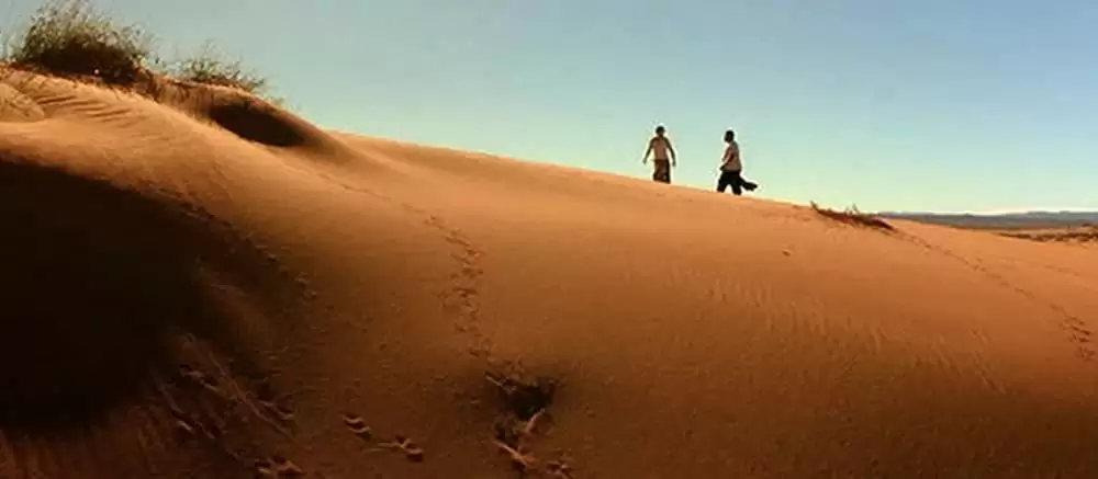 カンガルー・ジャックの画像