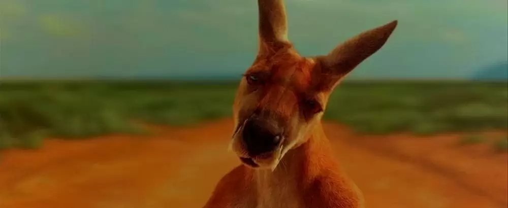 カンガルー・ジャックの画像