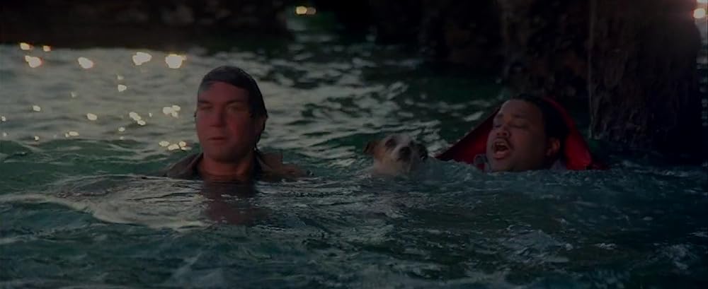 カンガルー・ジャックの画像