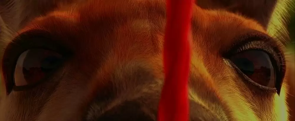 カンガルー・ジャックの画像