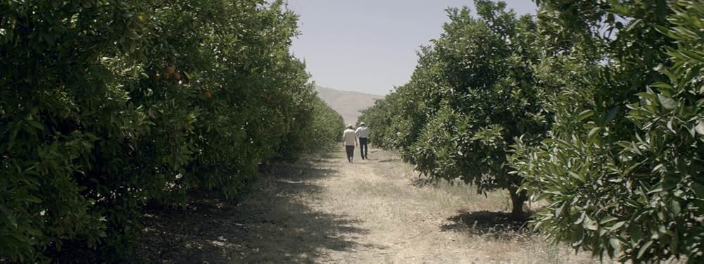 エンターテインメント（原題）の画像