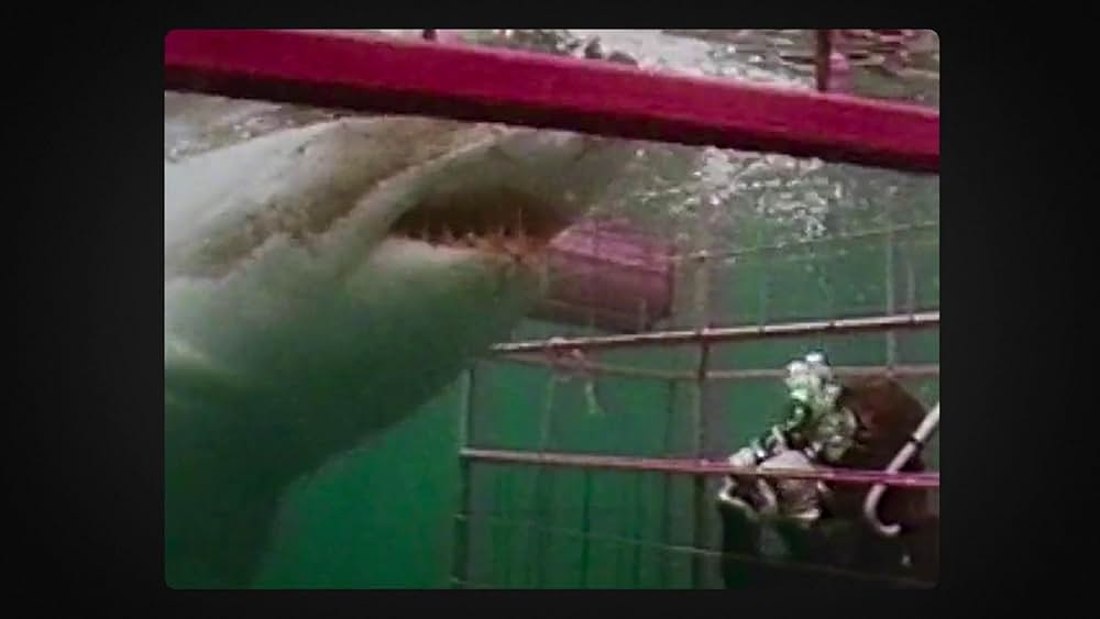 独占！『ジョーズ』50 周年：スピルバーグが語る伝説の裏側の画像