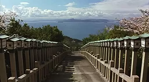 八日目の蝉の画像