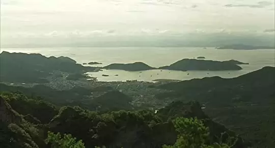 八日目の蝉の画像