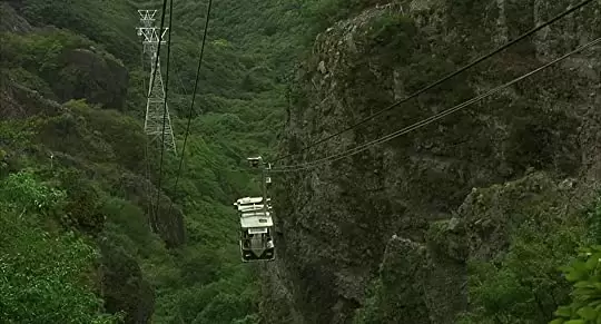 八日目の蝉の画像