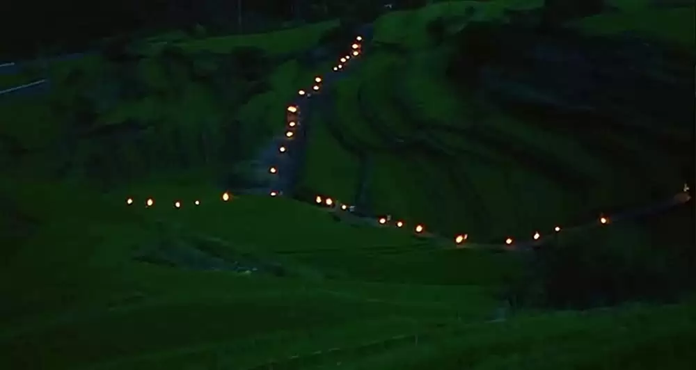 八日目の蝉の画像