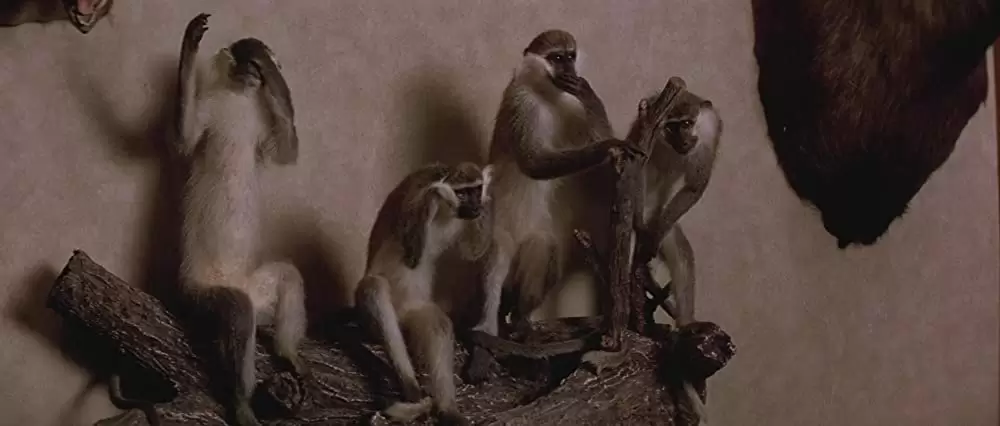 「ロードハウス／孤独の街」の画像