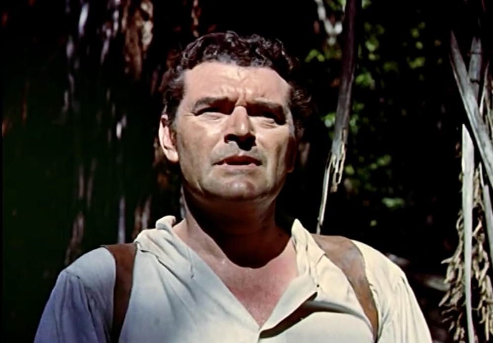 マオリ族の怒りの画像