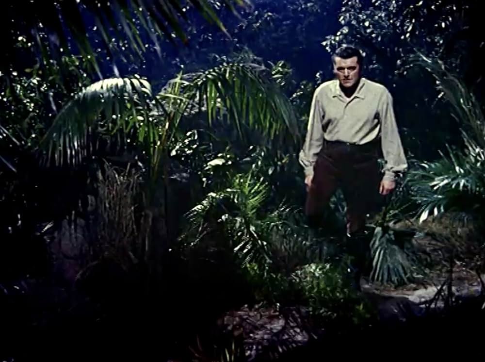 マオリ族の怒りの画像