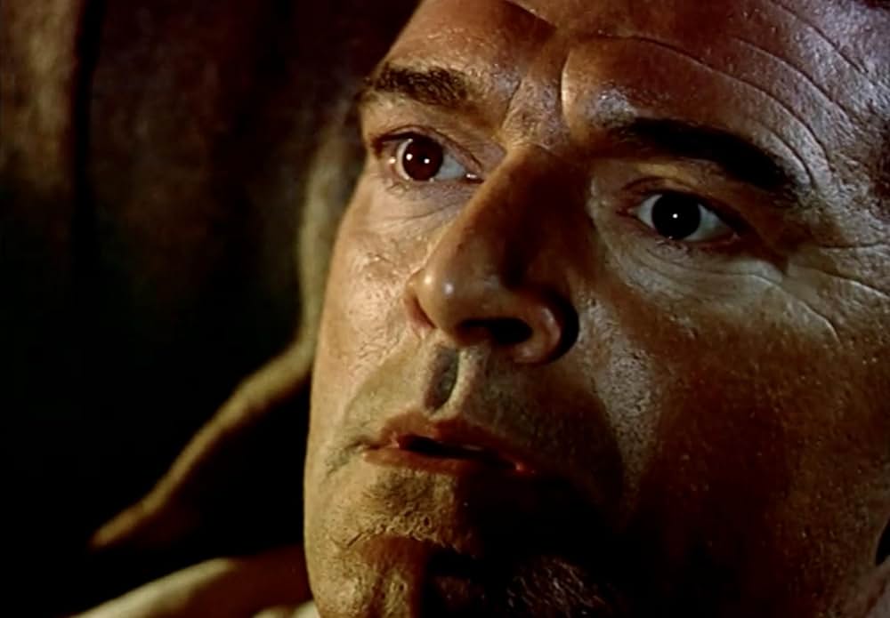 マオリ族の怒りの画像