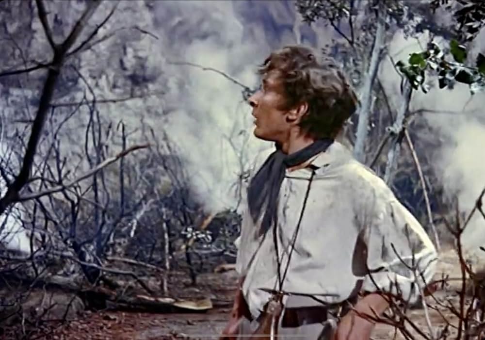 マオリ族の怒りの画像