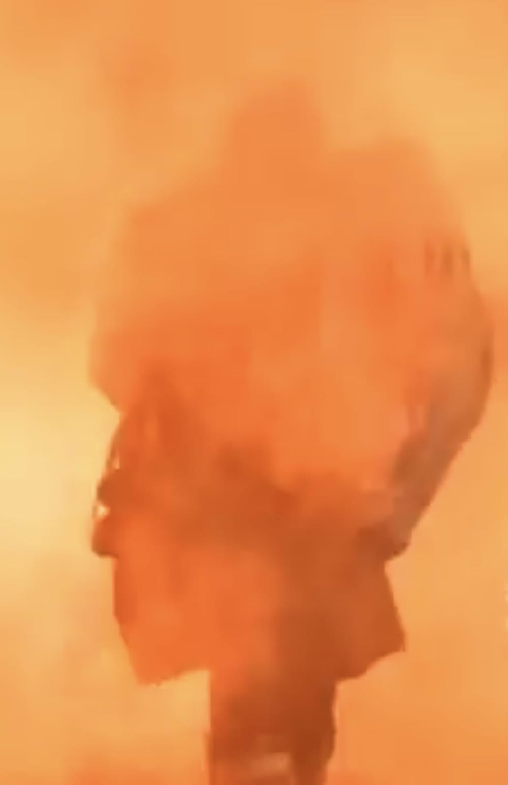 ジョン・クリスマスを探しての画像