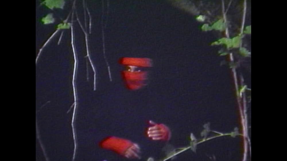 Treasure of the Ninja（原題）の画像