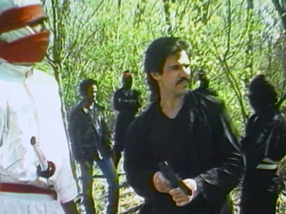 Treasure of the Ninja（原題）の画像