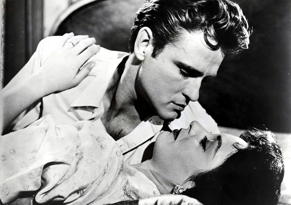 悪の実力者の写真