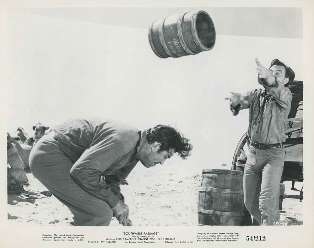 砂漠の旅路の画像