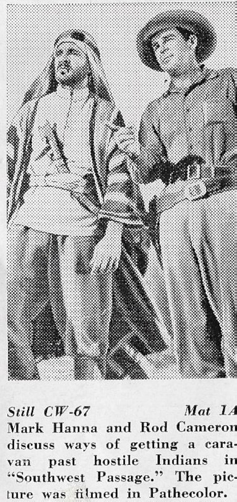 砂漠の旅路の写真