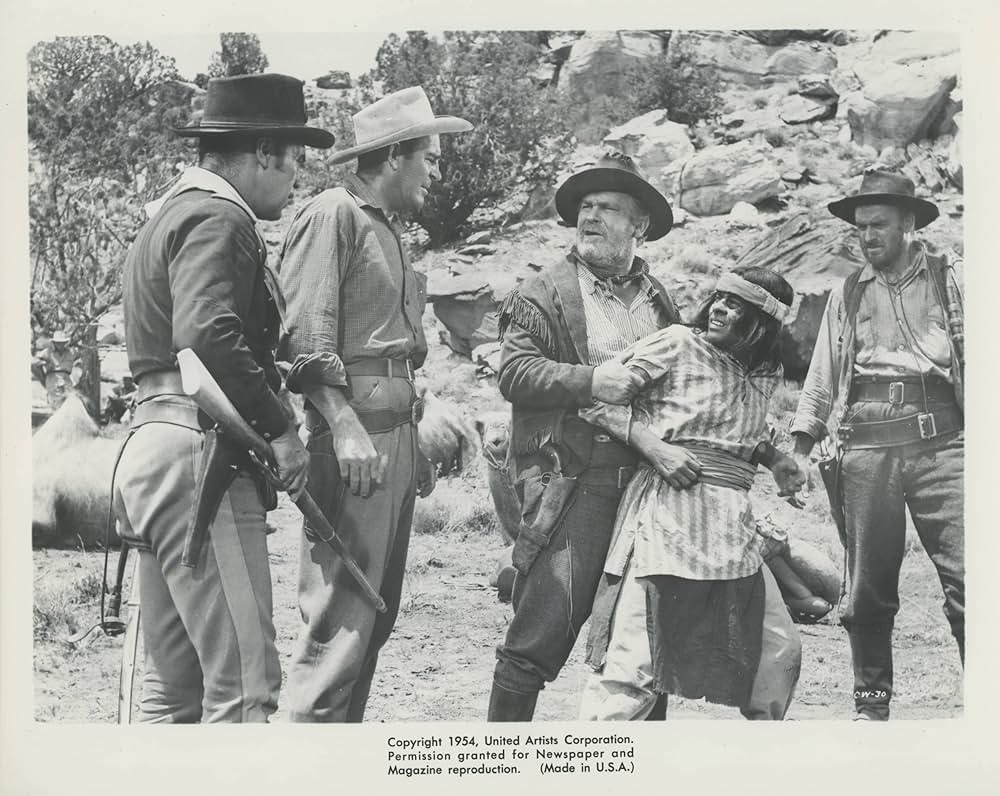 砂漠の旅路の写真